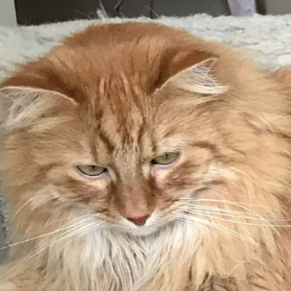 addiglory